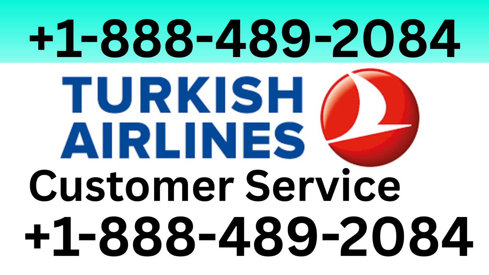 Turkish Airlines®️ Customer Service™️ USA Directly Contact Numbers - In Detail Guide | Diigo